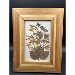 Mid-Century Modern Dried Botanical Framed Art OOAK 3.5" x 5.5"
